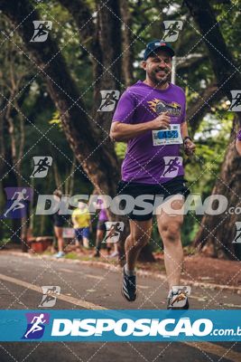 7ª Amadeus Beer Run