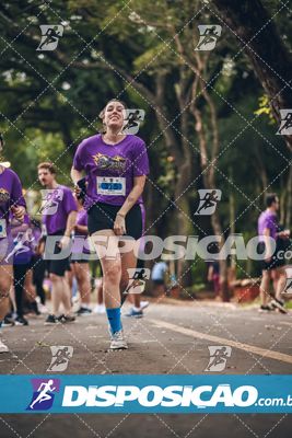 7ª Amadeus Beer Run