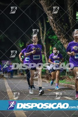 7ª Amadeus Beer Run