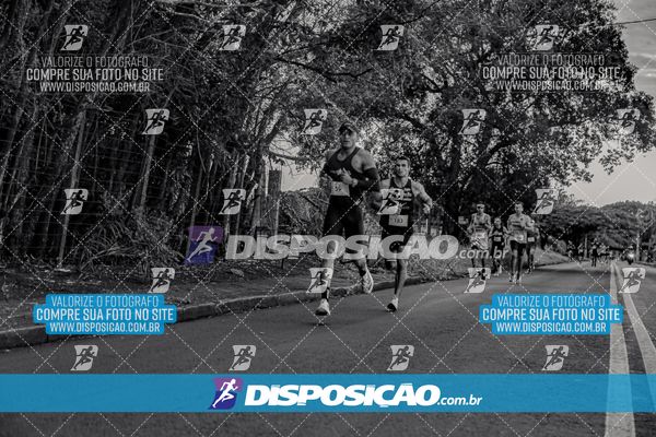 8ª Corrida Bem Paraná - Etapa ANPR - 7 Km