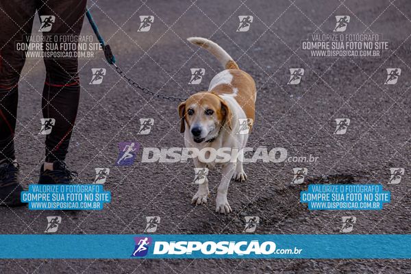 I GP Barbosa Ferraz MTB