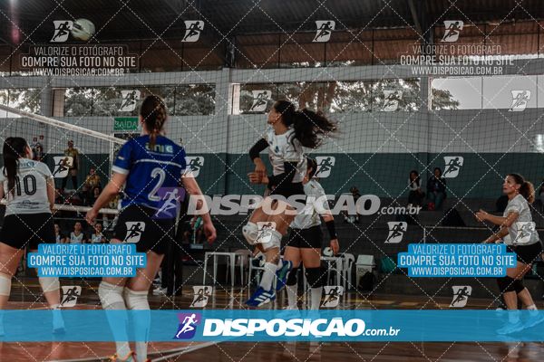 Vôlei Final 7° JAPS - MARINGÁ 2025 