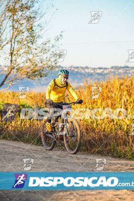 Circuito Ibiporã de MTB - Volta do Guarani 2025