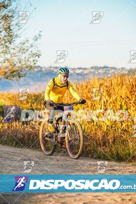 Circuito Ibiporã de MTB - Volta do Guarani 2025
