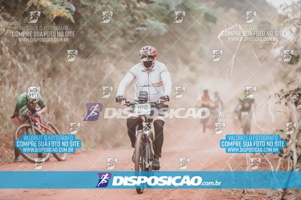 Foto 3760174