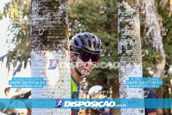 Foto 4023016