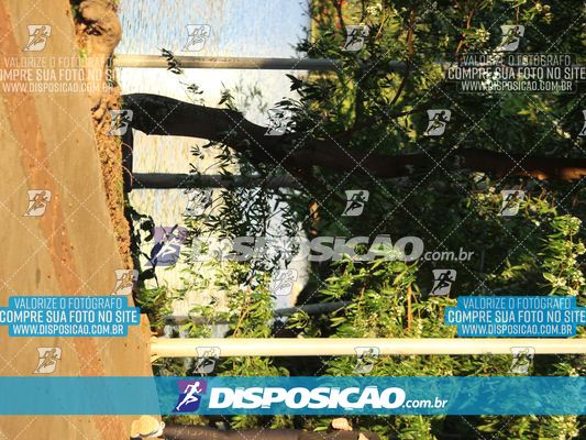 Treino Lago Igapó 2