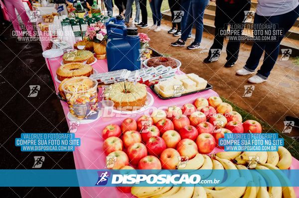 1ª Rota de São Martinho