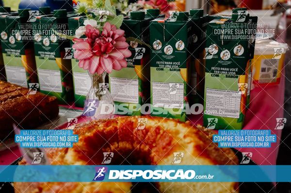 1ª Rota de São Martinho