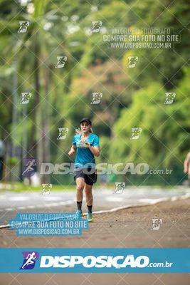 Treno Parque do Ingá (01/11/2025)