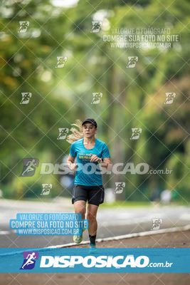 Treno Parque do Ingá (01/11/2025)