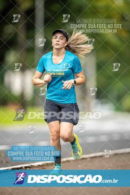 Treno Parque do Ingá (01/11/2025)