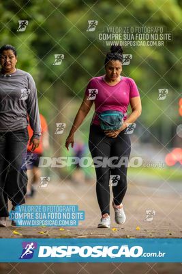 Treno Parque do Ingá (01/11/2025)