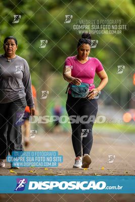 Treno Parque do Ingá (01/11/2025)