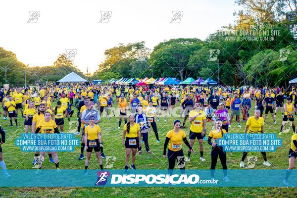 MEIA MARATONA THE BEST AÇAI 2025