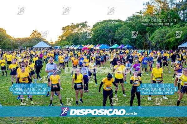 Foto 4684710