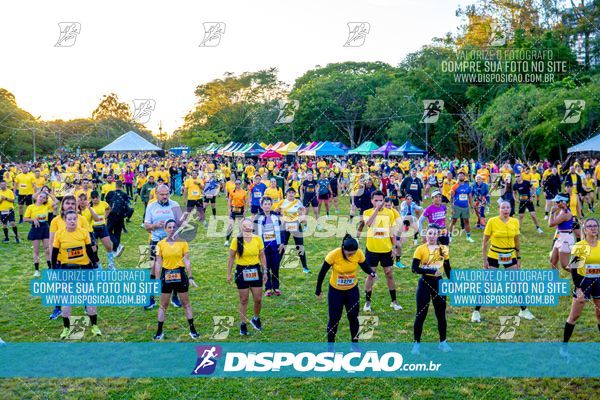 Foto 4684772