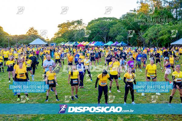 Foto 4684775