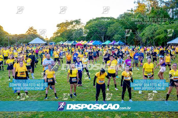 Foto 4684774