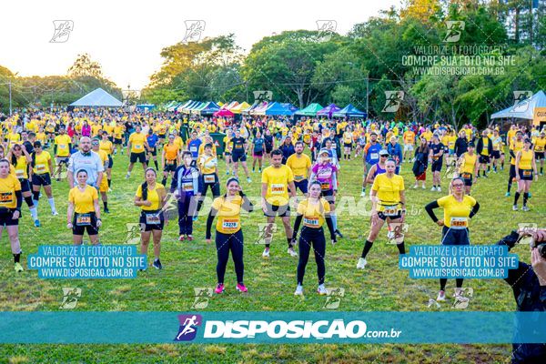 Foto 4684885
