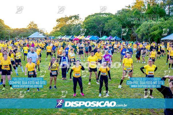 Foto 4684894