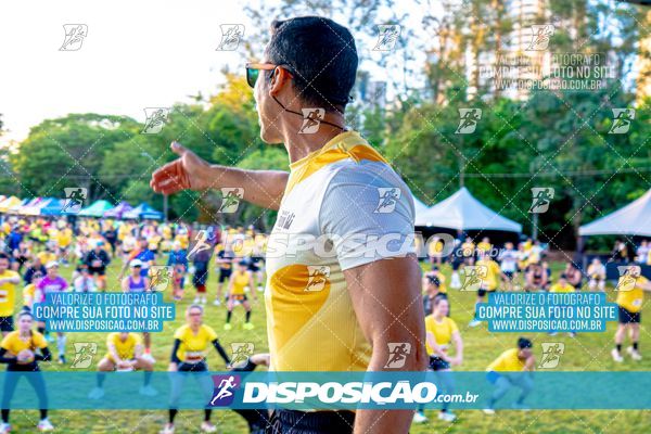 Foto 4685065