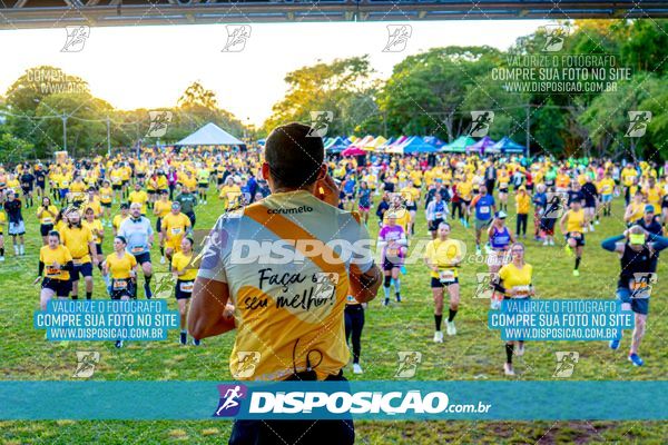 Foto 4685132