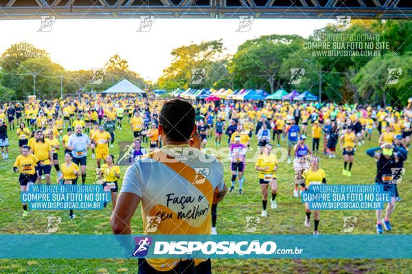 Foto 4685207