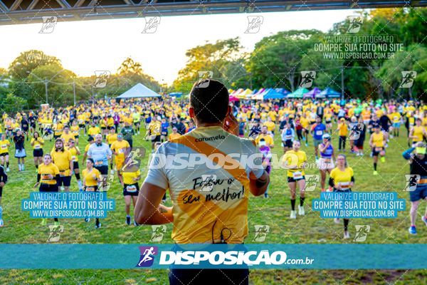 Foto 4685243