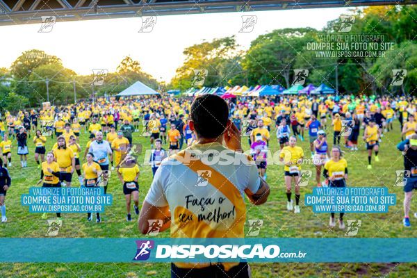 Foto 4685294