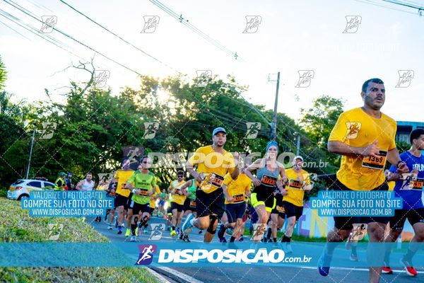 Foto 4687299