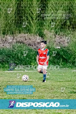 AMISTOSO ACADEMIA PALMEIRAS SUB 09 E SUB 10