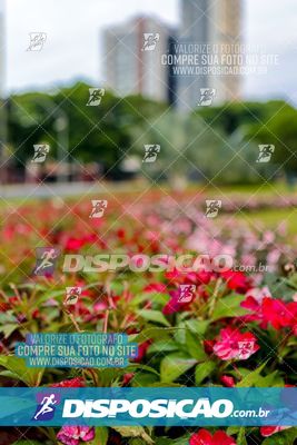 TREINO PARQUE DO INGÁ - MANHÂ