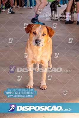 4° DESAFIO SOLIDÁRIO PEDALA SARANDI