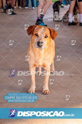 4° DESAFIO SOLIDÁRIO PEDALA SARANDI