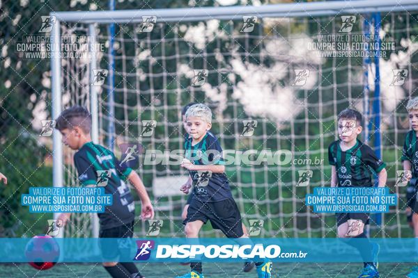 COPA UNIÃO-2025 PALMEIRAS X MENINOS DO INGÁ X SANTOS