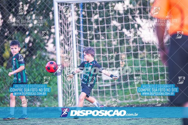 COPA UNIÃO-2025 PALMEIRAS X MENINOS DO INGÁ X SANTOS