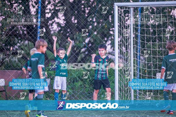 COPA UNIÃO-2025 PALMEIRAS X MENINOS DO INGÁ X SANTOS