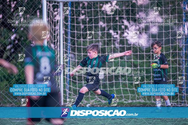 COPA UNIÃO-2025 PALMEIRAS X MENINOS DO INGÁ X SANTOS