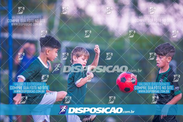 COPA UNIÃO-2025 PALMEIRAS X MENINOS DO INGÁ X SANTOS