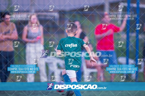 COPA UNIÃO-2025 PALMEIRAS X MENINOS DO INGÁ X SANTOS