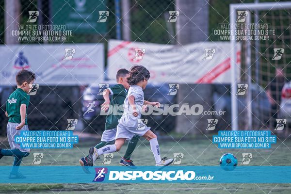 COPA UNIÃO-2025 PALMEIRAS X MENINOS DO INGÁ X SANTOS