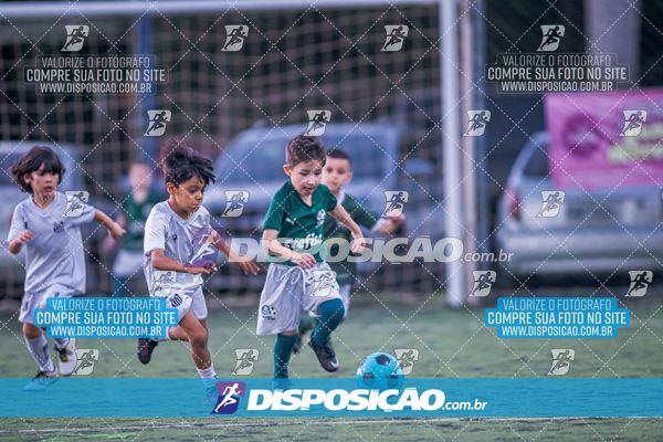 COPA UNIÃO-2025 PALMEIRAS X MENINOS DO INGÁ X SANTOS