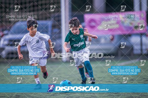 COPA UNIÃO-2025 PALMEIRAS X MENINOS DO INGÁ X SANTOS