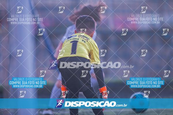 COPA UNIÃO-2025 PALMEIRAS X MENINOS DO INGÁ X SANTOS