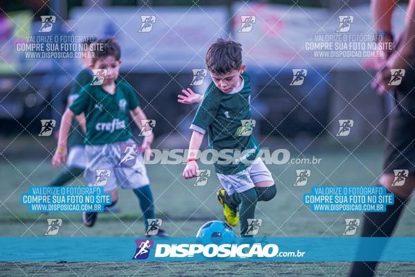 COPA UNIÃO-2025 PALMEIRAS X MENINOS DO INGÁ X SANTOS