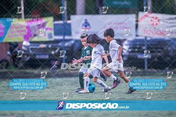 COPA UNIÃO-2025 PALMEIRAS X MENINOS DO INGÁ X SANTOS