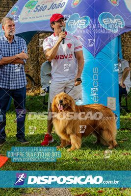 7ª Corrida Cidade de Paranavaí