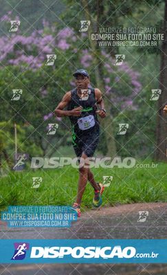 VALE VERDE RUN 2025