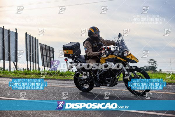 4ª CORRIDA PORTO A PORTO VANDERLEI CORDEIRO DE LIMA